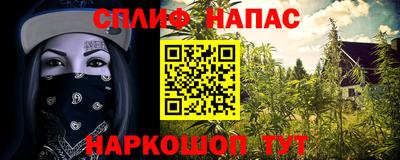 спайс Новозыбков